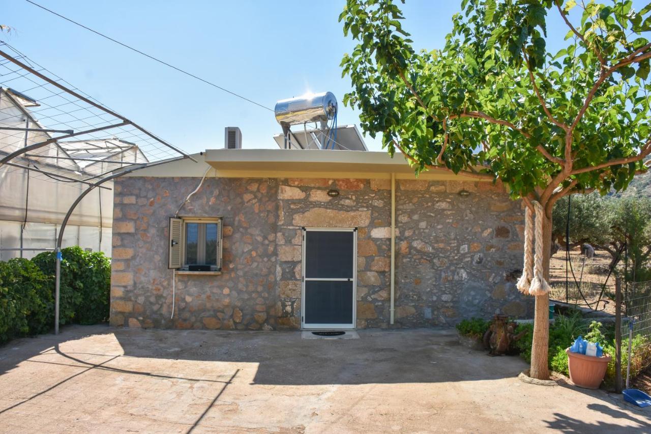 Willa Pause Serenity House Into Olive Groves Agios Fotios Zewnętrze zdjęcie